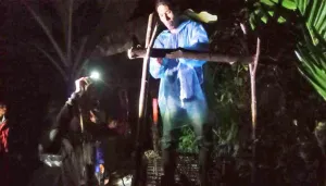 BKSDA Sumbar Pasang Kandang Jebak Harimau di Agam