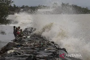 BMKG Peringatkan Gelombang Tinggi Hingga 4 Meter, Nelayan Diminta Waspada