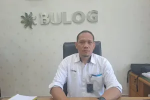 Bulog Bangka Terapkan Sistem Jemput Bola, Serap Gabah Petani Lebih Maksimal