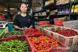 Harga Cabai Rawit Rp61.050/Kg, Telur Ayam Rp33.950/Kg
