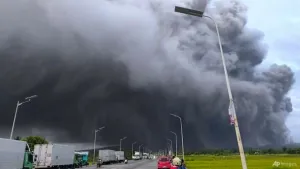 Hujan Abu Gunung Mayon di Filipina Tewaskan Ternak, Merusak Ladang, Memaksa Penduduk Mengungsi  