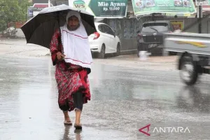 Prakiraan Cuaca: Sembilan Wilayah di Sulawesi Tenggara Berpotensi Hujan Sedang hingga Lebat