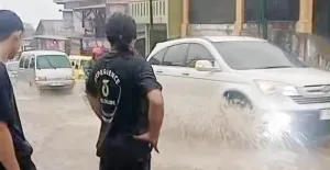 Banjir di Kawasan Puncak-Cipanas Diungkap Dinas PUTR Cianjur, Ini Faktor-faktor Penyebabnya!