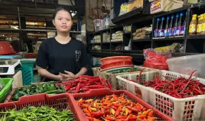 Bapanas Pastikan Harga Ayam dan Telur Turun, Inflasi Pangan Terkendali