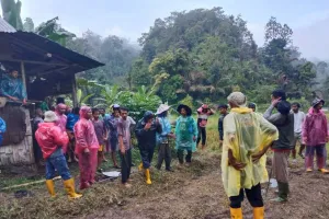Evakuasi Warga Agam yang Didatangi Harimau Saat di Sawah