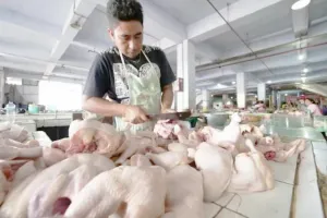 Harga Daging Ayam Terjun Bebas, Kota Madiun Alami Deflasi Usai Lebaran 2026