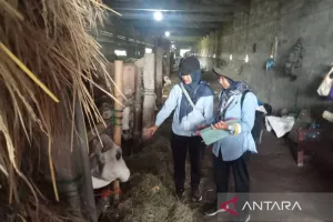 Jelang Idul Adha, Bantul Pastikan Ketersediaan Hewan Kurban Aman