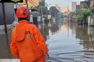 Kali-kali Meluap Akibatkan Banjir dan Rendam 115 RT di Jakarta 