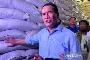Pemerintah Perkuat Intervensi Jaga Harga Pangan di Produsen-Konsumen