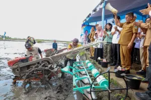 Banten Masuk Delapan Besar Produsen Beras Nasional