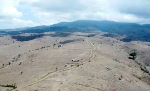 Lahan Kritis NTB Turun 6.000 Hektare dalam 3 Tahun, Masih Tersisa 186 Ribu Hektare di Kawasan Hutan