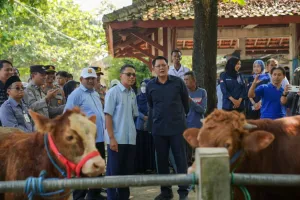 Sleman Jamin Ketersediaan dan Kesehatan Hewan Kurban Jelang Iduladha 2026