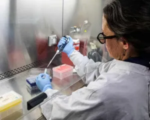 Argentina Diburu Waktu untuk Melacak Asal Wabah Hantavirus Di Tengah Kembalinya Beberapa Penumpang Kapal MV Hondius ke AS