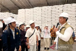 Dirut Bulog: Serapan Gabah Petani Capai 2,4 Juta Ton Setara Beras