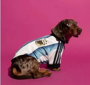 Gemas! Adidas Luncurkan Jersey Piala Dunia untuk Anabul