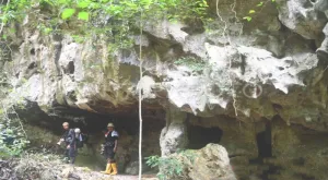 Pelestarian Pesona Geologi Dunia yang Tersimpan di Hutan Benua Etam