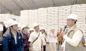 Petani Berjaya, Bulog Berhasil Serap 2,4 Juta Ton Beras Hanya dalam Setengah Tahun