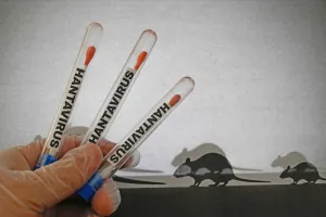 Risiko Rendah, Hantavirus Bukan Ancaman Pandemi Baru