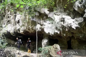 Sangkulirang-Mangkalihat Dibidik Jadi Geopark Kelas Dunia, Kaltim Kebut Persiapan