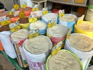 Serapan Gabah BULOG DIY Tembus 76 Persen, Stok Beras Dipastikan Aman