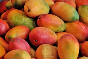 Si Raja Buah yang Menyehatkan: Intip Segudang Manfaat Mangga bagi Tubuh