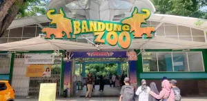 Kabar Baik Buat Warga Kota Kembang: Pengelola TSI Siap Tingkatkan Standar Bandung Zoo