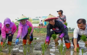 Cakung Jadi Sentra Pertanian Urban Jakarta Timur, 96 Ribu Benih Ditanam Serentak