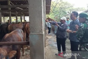 DIY Perketat Pengawasan Kesehatan Hewan Kurban Jelang Idul Adha