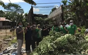 Kaltim Ajak Masyarakat Kurangi Ketergantungan Beras, Dorong Pangan Lokal
