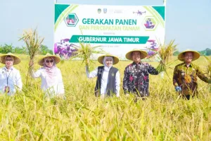 Pemprov Jatim Perkuat Posisi sebagai Lumbung Pangan Nasional pada 2026
