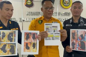 Tim DVI Temukan Total 17 Jenazah Korban Kecelakaan Bus ALS dengan Truk Tangki di Msui Rawas Utara