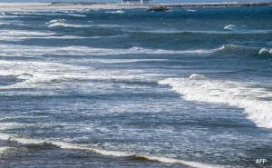 El Nino Makin Mengintai: Suhu Rata-rata Samudera Meningkat