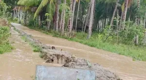 BPBD: Banjir Rendam Desa Salepae dan Moutong Utara, Ratusan KK Terdampak