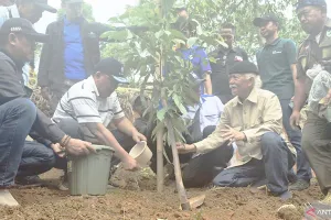KLH dan Buruh Tanam 12.000 Pohon di Kabupaten Bandung
