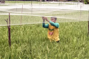 Pasar Keuangan RI Dalam Tekanan Berat