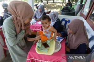 Perannya Strategis, Anggota DPR Nilai MBG Harus Libatkan Kader Posyandu