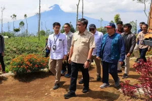 Tak Sekadar Bertani, Desa Didorong Kembangkan Usaha Agroforestri