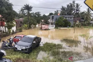BPBD: 657 Rumah Terendam dan 2.985 Warga Terdampak Banjir di Kendari
