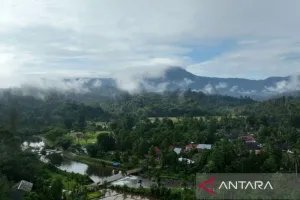 KKI Warsi Ungkap Potensi Jambi, Calon Role Model Perdagangan Karbon Indonesia