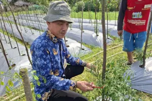 Pemkot Batam Bayarkan Premi Jaminan Sosial 2026 untuk 2.500 Petani