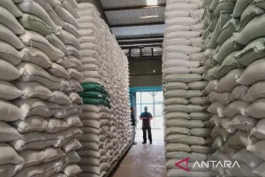 Perum Bulog Sumut: Stok beras Cukup Penuhi Kebutuhan Jelang Idul Adha 1447 H