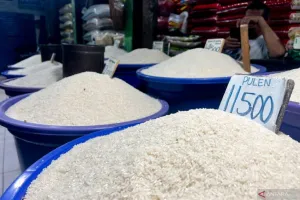 Stok Diklaim Berlimpah, Tapi Harga Beras Tetap Bikin Dompet Mengeluh