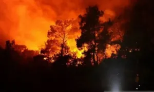 Dunia Terancam Kebakaran Hutan Terburuk akibat El Nino dan Perubahan Iklim