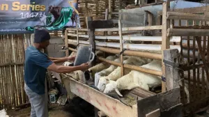 Inisiasi Jantara, Dompet Dhuafa Ubah Dana Zakat Jadi Modal Ekonomi Peternak Desa