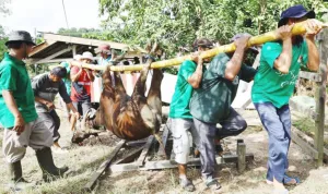 Kukar Latih 30 Juru Sembelih Halal Jelang Idul Adha