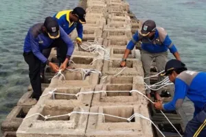 Perbaikan Tanggul Pemecah Gelombang di Pulau Kelapa Dua