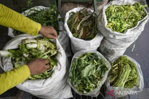 Kenapa Edukasi Pilah Sampah Penting? Ini Dampaknya untuk Lingkungan.