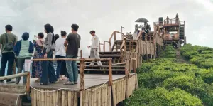 Desa Wisata Gunung Dempo Pagaralam Kembali Dibuka, Ini Sebab Ditutup Sebelumnya!