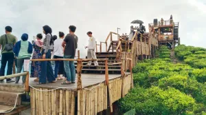 Desa Wisata Gunung Dempo Pagaralam Dibuka untuk Kunjungan Wisata