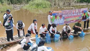 DKPP Barito Utara Tebar 20 Ribu Benih Ikan di Perairan Desa